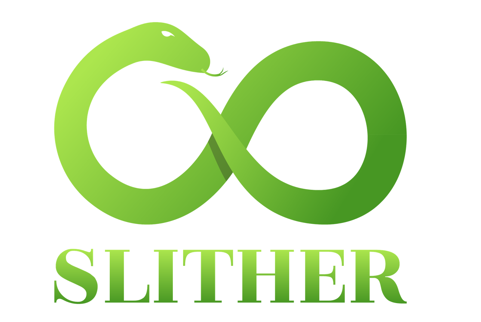 SLITHER LLC